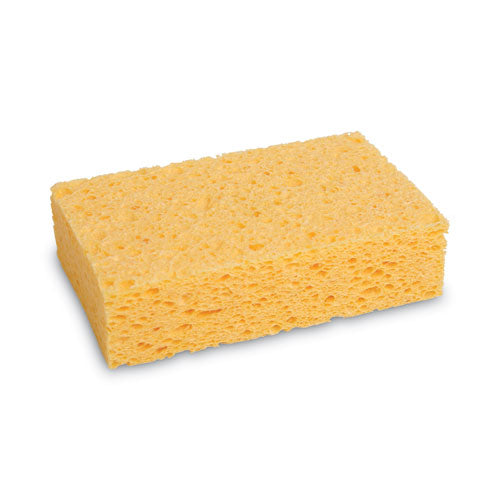 Large Cellulose Sponge measuring 1.55" x 3.67" x 6.08", individually wrapped for prolonged freshness.